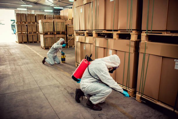 Best Pest Control Near Me  in Parkville, MD