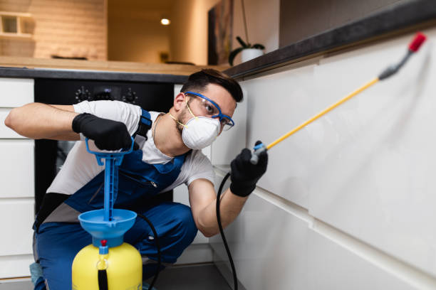 Best Pest Control Near Me  in Parkville, MD