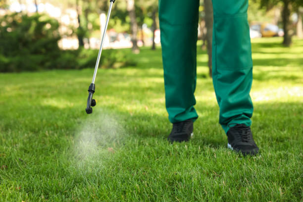 Best Best Pest Control Companies  in Parkville, MD