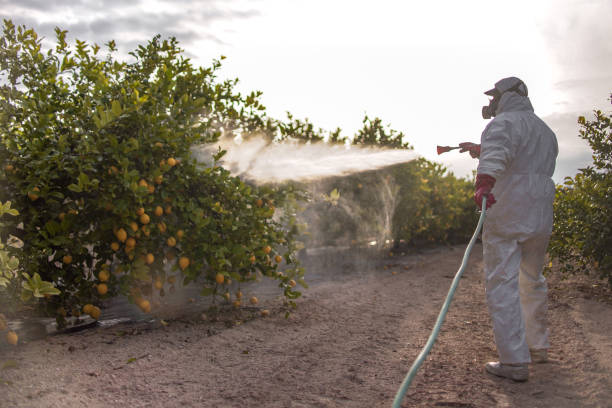 Best Pest Removal Services  in Parkville, MD