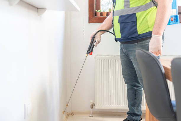 Best Termite Control Services  in Parkville, MD