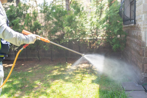 Best Pest Removal Services  in Parkville, MD