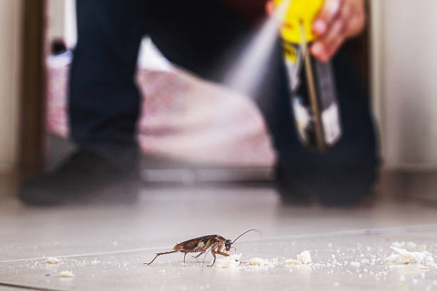  Parkville, MD Pest Control Pros
