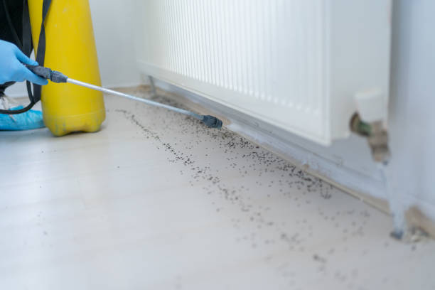 Best Exterminator Services  in Parkville, MD