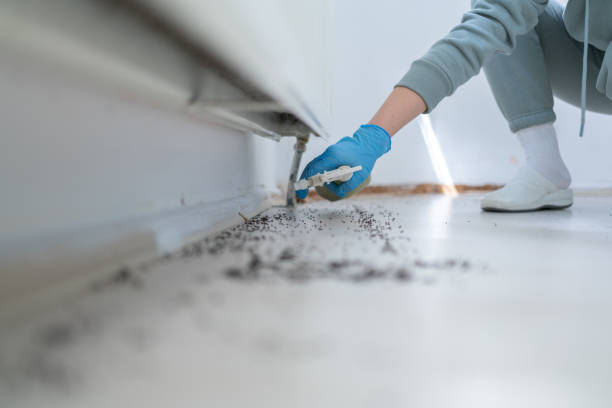 Parkville, MD Pest Control Company